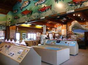 Lake and Peninsula Borough, Alaska, King Salmon Visitor Center.jpg