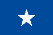 Bonnie Blue Flag