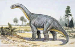 Maryland State Dinosaur - Sauropod Dinosaur