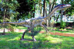 New Mexico State Fossil - Coelophysis Dinosaur