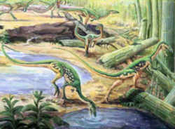 New Mexico State Fossil - Coelophysis Dinosaur