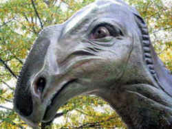 New Jersey State Dinosaur - Duckbilled Dinosaur