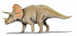 Wyoming State Dinosaur - Horned Dinosaur