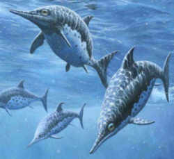 Nevada State Fossil - Ichthyosaur 