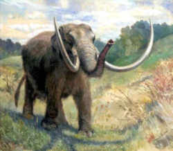 Michigan State Fossil - Mastodon