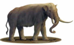 Michigan State Fossil - Mastodon