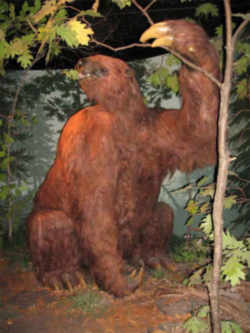 West Virginia State Fossil - Giant Ground Sloths
