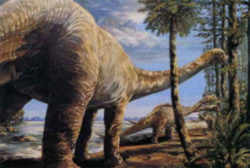Texas State Dinosaur - Sauropod Dinosaur