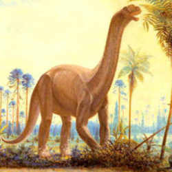 Texas State Dinosaur - Sauropod Dinosaur