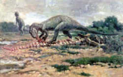 Utah Fossil - Theropod Dinosaur