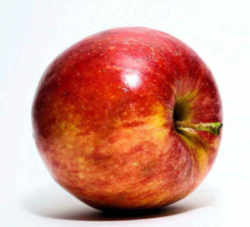 Apple: New York State Fruit