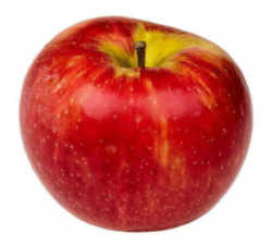 https://www.ereferencedesk.com/resources/state-fruit/images/honeycrisp-mn-1.jpg