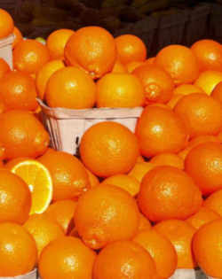 Orange: Florida State Fruit