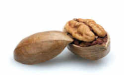 Arkansas State Nut: pecan