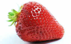 Strawberry: Louisiana State Fruit