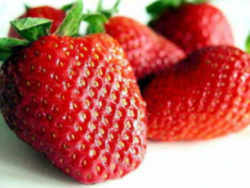 Strawberry: North Carolina State Red Berry