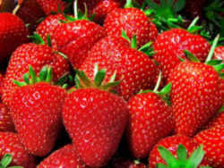 Strawberry : Oklahoma State Fruit