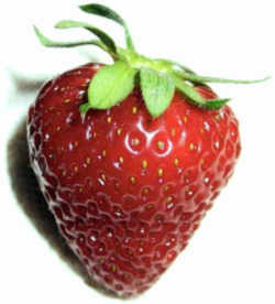 Strawberry : Oklahoma State Fruit
