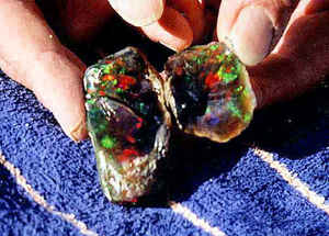 Virgin Valley Black Fire Opal