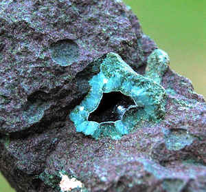 Chlorastrolite (aka Isle Royale greenstone)