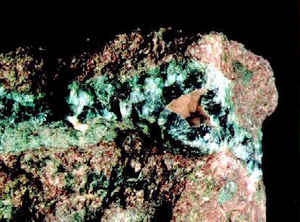 Chlorastrolite (aka Isle Royale greenstone)