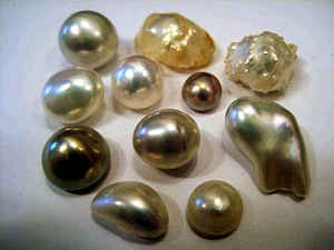 Kentucky State Gemstone: Fresh-Water Pearl 