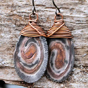 Petrified Wood: Washington State Gemstone 