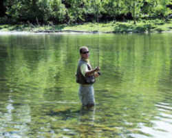 Arkansas State Trout Capital of the USA: Cotter
