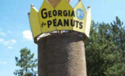 Turner County Peanut Monument