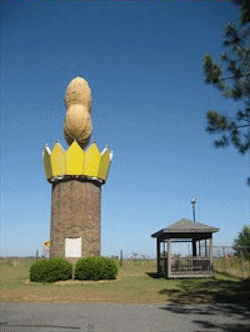 Turner County Peanut Monument