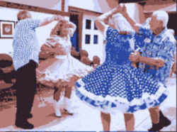 Georgia State Folk Dance: Square dancing