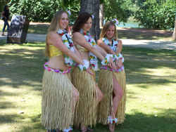Hula: Hawaii State Dance