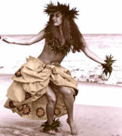 Hula: Hawaii State Dance