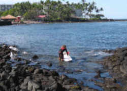 Hawaii State Individual Sport: Surfing