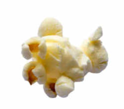 Illinois State Snackfood: Popcorn