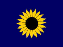 Kansas State Banner