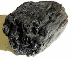 Coal