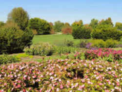 UK Arboretum