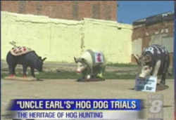 Uncle Earl's Hog Dog Trials