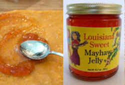 Louisiana State Jellies: Mayhaw Jelly
