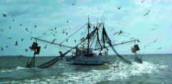  Louisiana State Cajun Creole Heritage: shrimp trawls