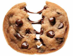 Chocolate Chip Cookie