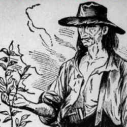 Johnny Appleseed