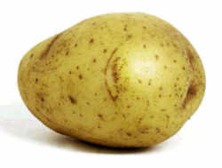 White Potato 