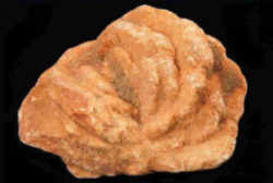 Barite Rock aka Rose Rock