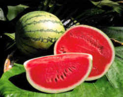 Watermelon: Oklahoma State Vegetable