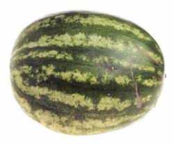 Watermelon: Oklahoma State Vegetable