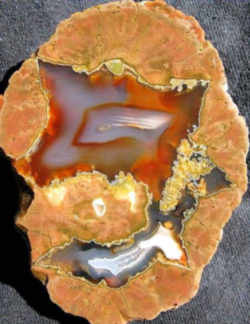 Thunderegg