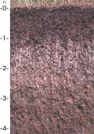 South Dakota State Soil: Houdek Soil