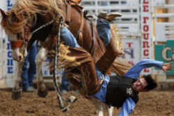 South Dakota State Sport: Rodeo